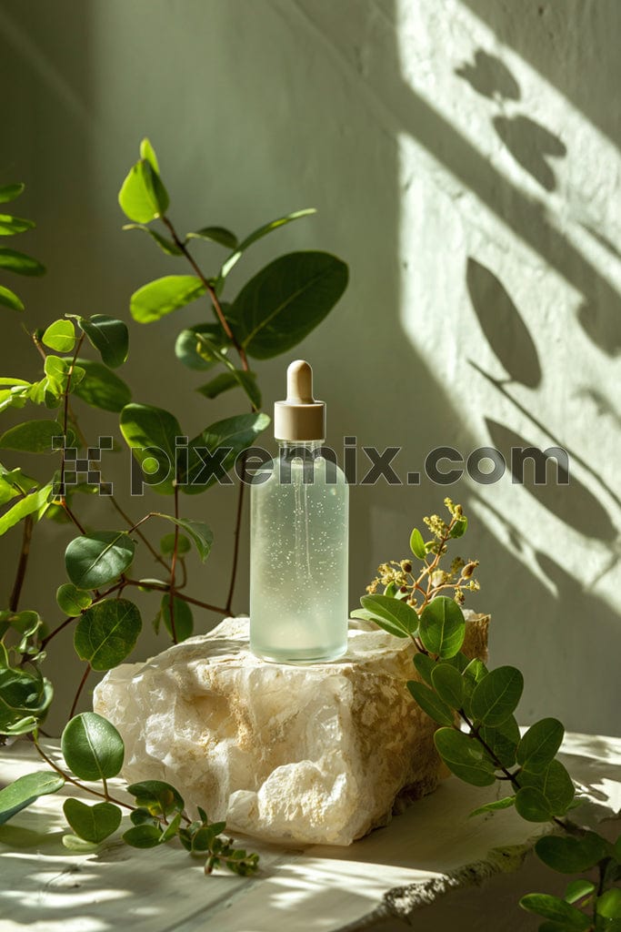 Glass dropper bottle with leaves and stones image.