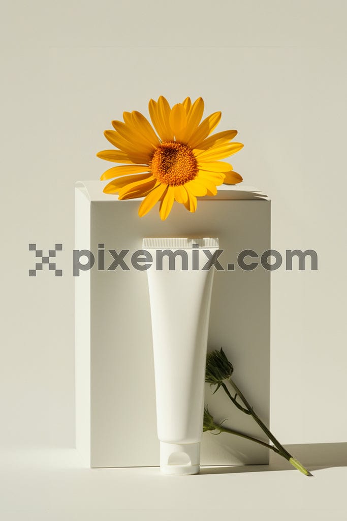 Bottles of cosmetic cream with white podiums and sunflower on white background image.